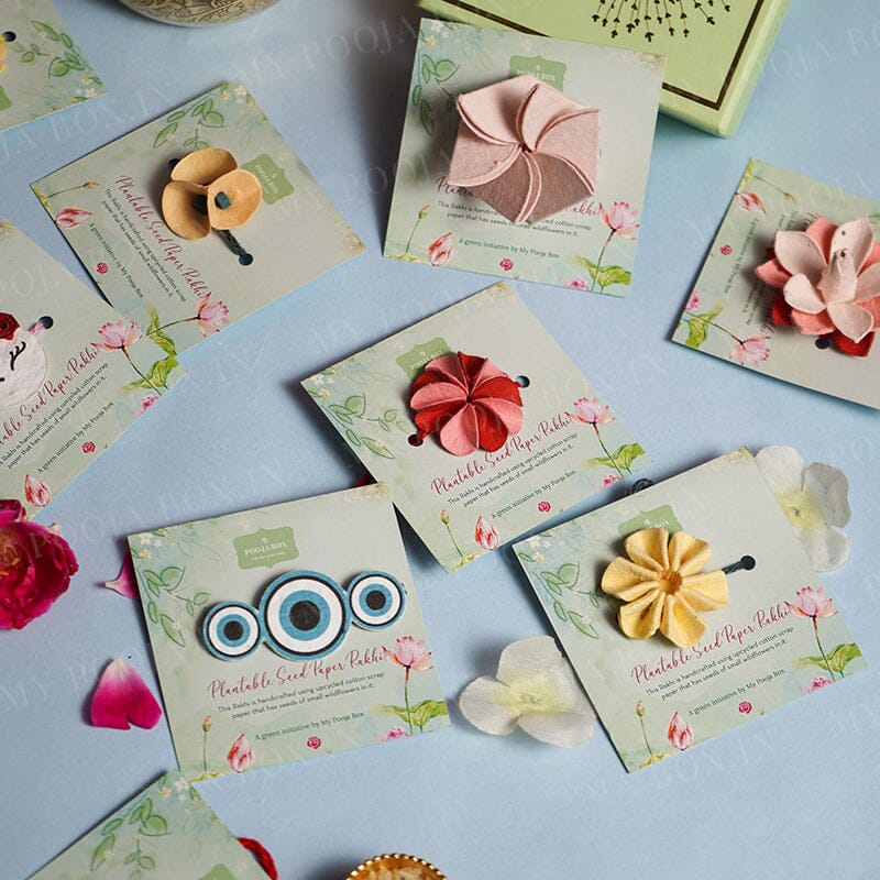 Eco-Friendly Plantable Seed Chucklebud Rakhi