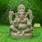 6INCH Yagnakaya Eco-Friendly Ganpati | Plant-A-Ganesha