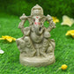 6INCH Modakapriyaya Eco-Friendly Ganpati | Plant-A-Ganesha
