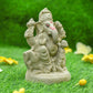 6INCH Modakapriyaya Eco-Friendly Ganpati | Plant-A-Ganesha
