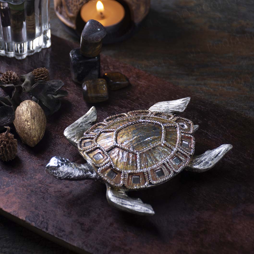 Feng Shui Tortoise with Mirror Detailing