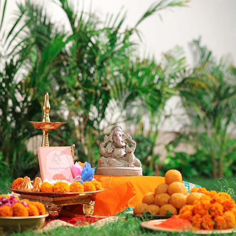 6INCH Vishwanetra Eco-Friendly Ganpati | Plant-A-Ganesha