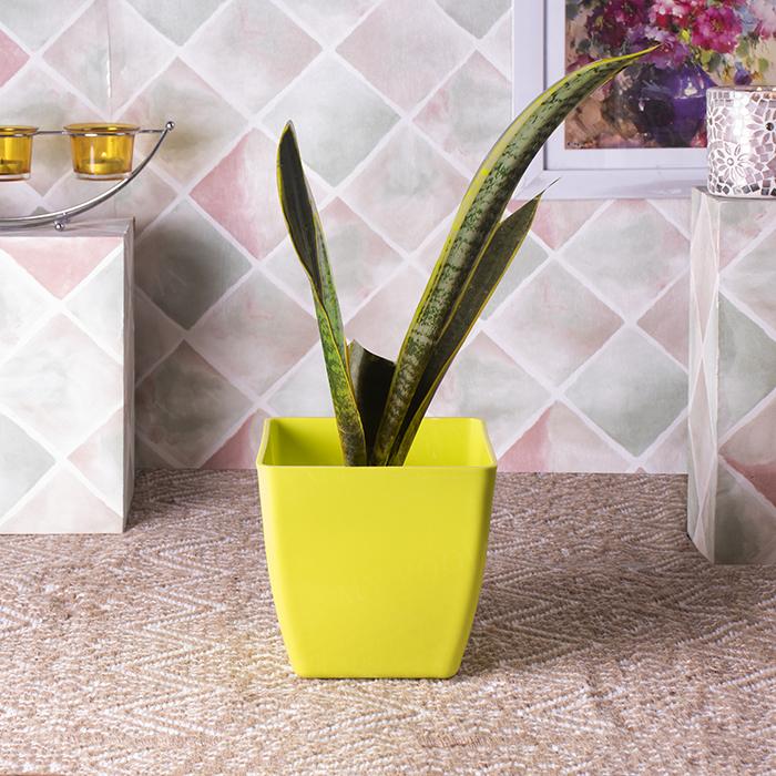 Reusable Green Planter
