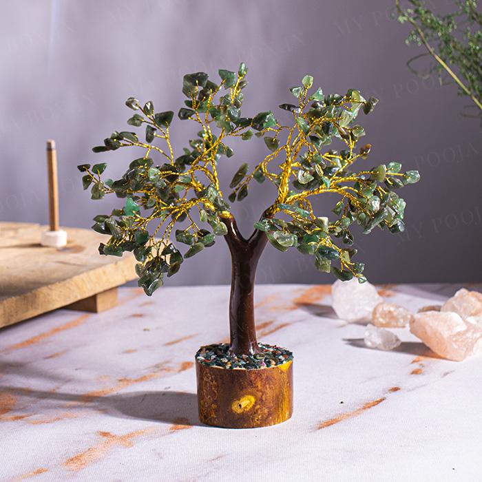 Green Jade  Tree For Boosting Immune System