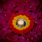 Handcrafted  Two Layer Thali
