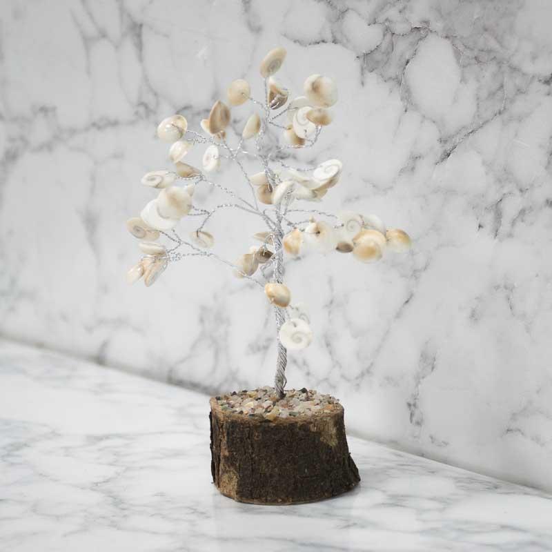 Feng Shui Vastu Gomati Chakra Tree for Prosperity