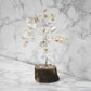 Feng Shui Vastu Gomati Chakra Tree for Prosperity