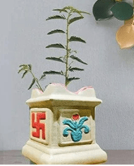 Handcrafted Ceramic Pooja Tulsi Pot