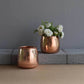 Exquisite Copper Viola Vase