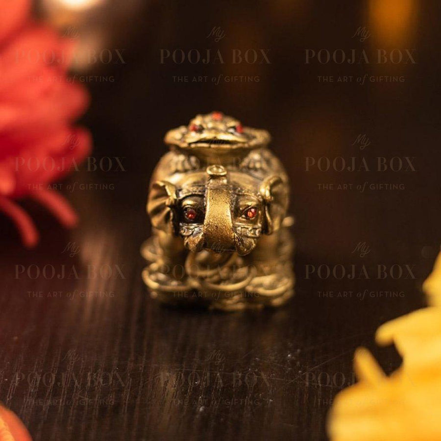 Feng Shui Elephant With Money Frog Atop (Clay)