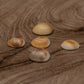 Gomti Chakra(Set Of 5) Pooja Items