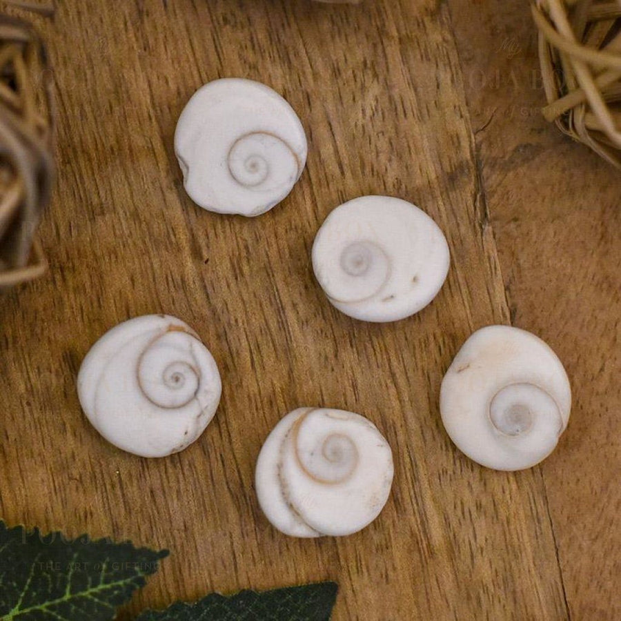 Gomti Chakra(Set Of 5) Pooja Items